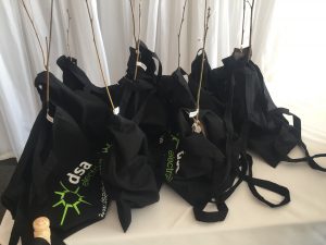 DSA Electrical gift bags containing saplings from the Woodland Trust
